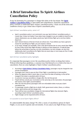 a brief introduction to spirit airlines