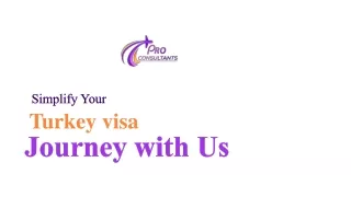 Get Your Turkey Tourist Visa Easily with Pro