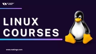 Master Linux Courses with Expert