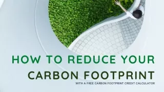 Reduce Your Carbon Footprint with Our Free Carbon Credit Calculator