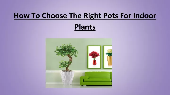how to choose the right pots for indoor plants