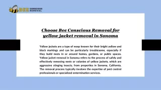 Choose Bee Conscious Removal for yellow jacket removal in Sonoma