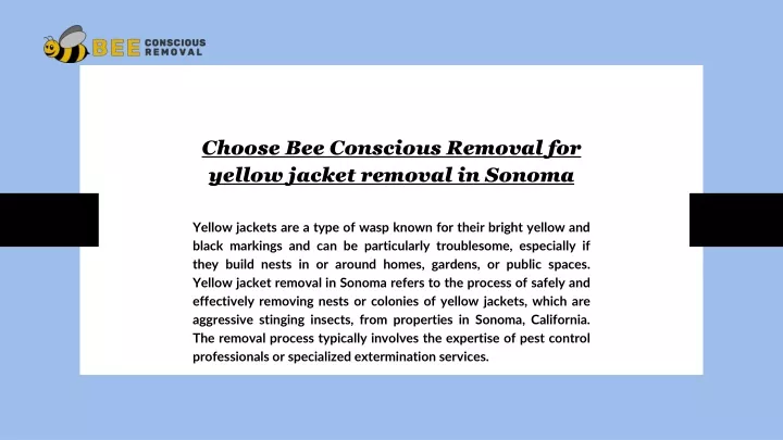 choose bee conscious removal for yellow jacket