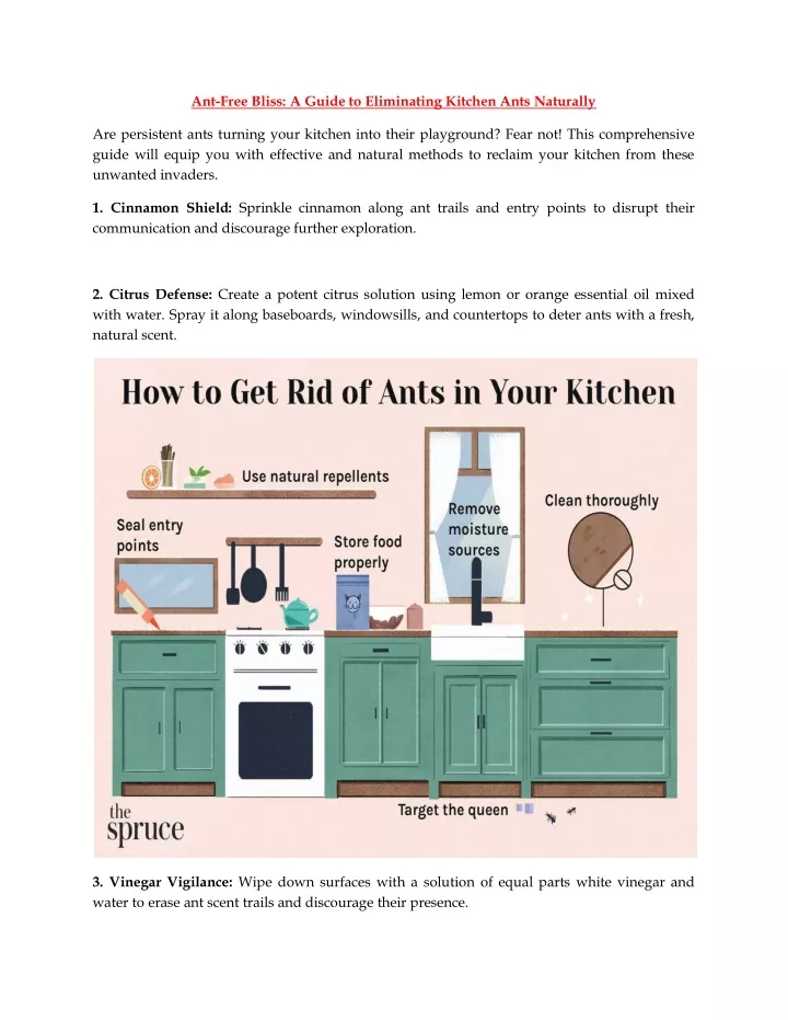 ant free bliss a guide to eliminating kitchen