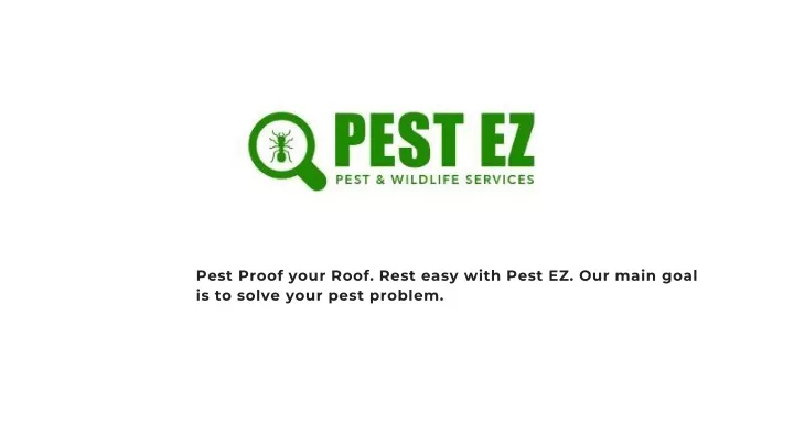 pest proof your roof rest easy with pest