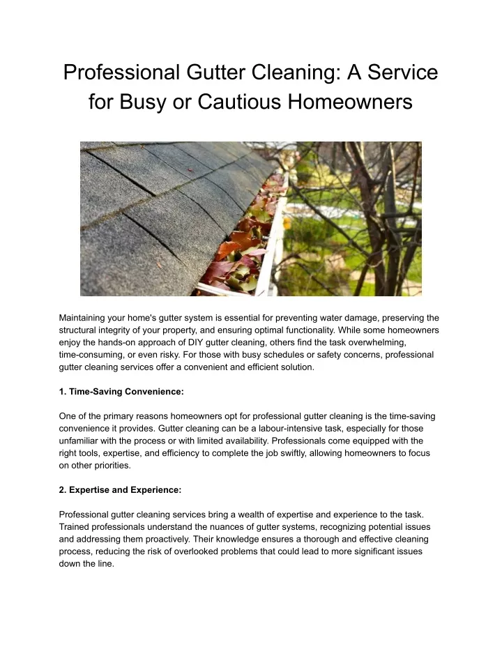 professional gutter cleaning a service for busy