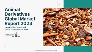 Animal Derivatives Market Size, Share Report, Trends, Forecast To 2032