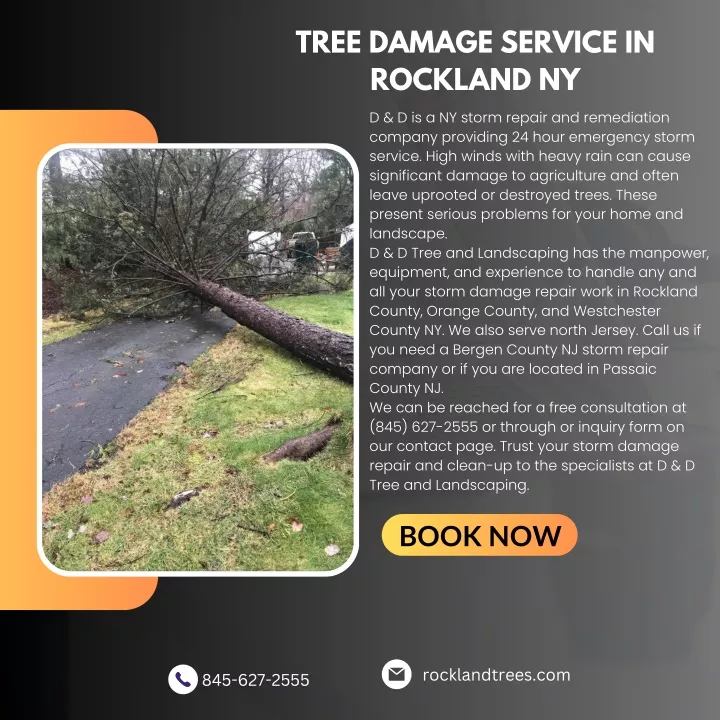 tree damage service in rockland ny