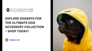 Explore Dogerys for the Ultimate Dog Accessory Collection – Shop Today!