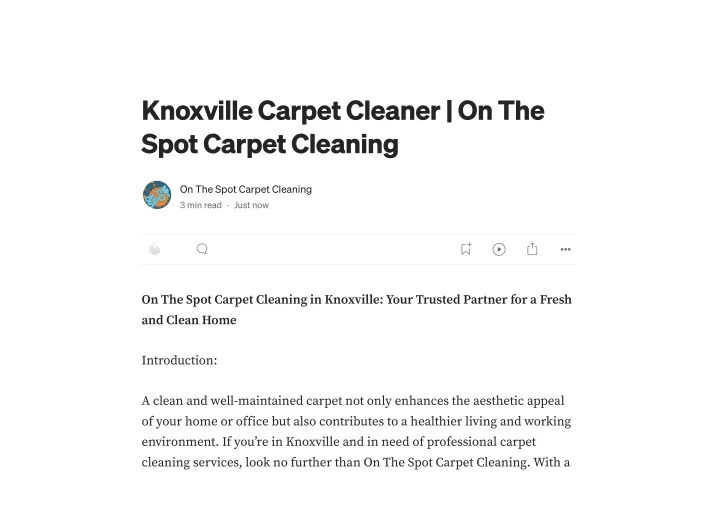 knoxville carpet cleaner on the spot carpet