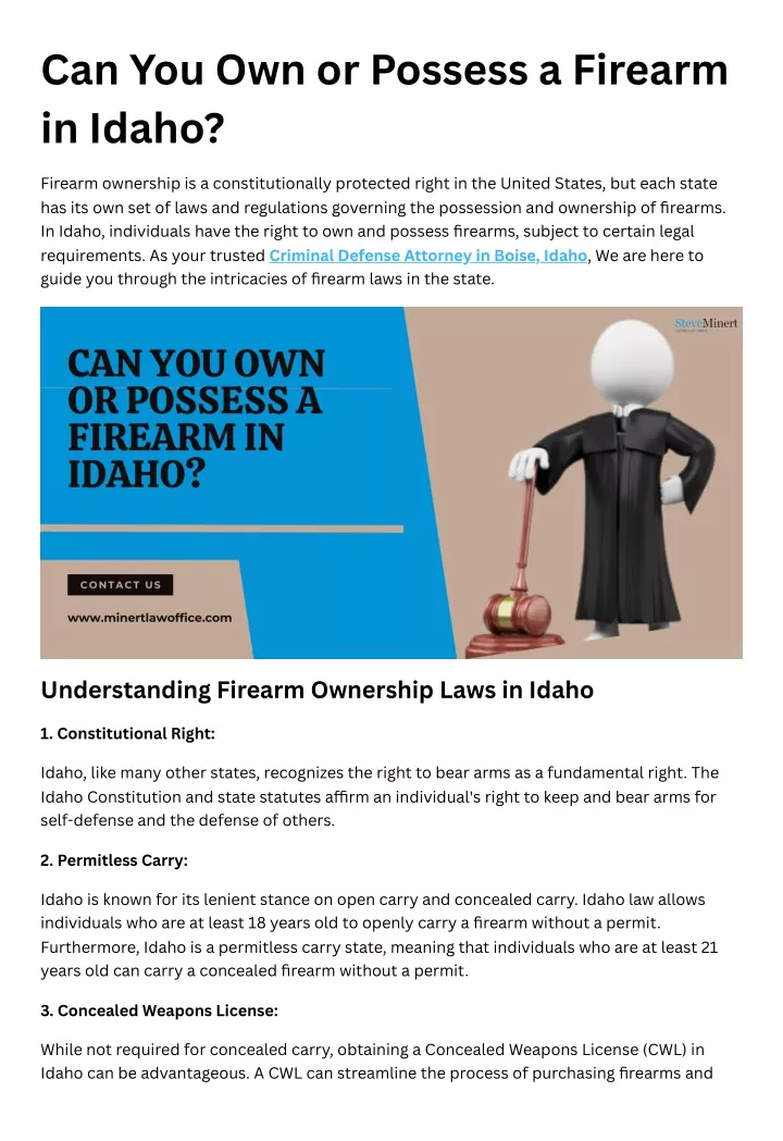 can you own or possess a firearm in idaho