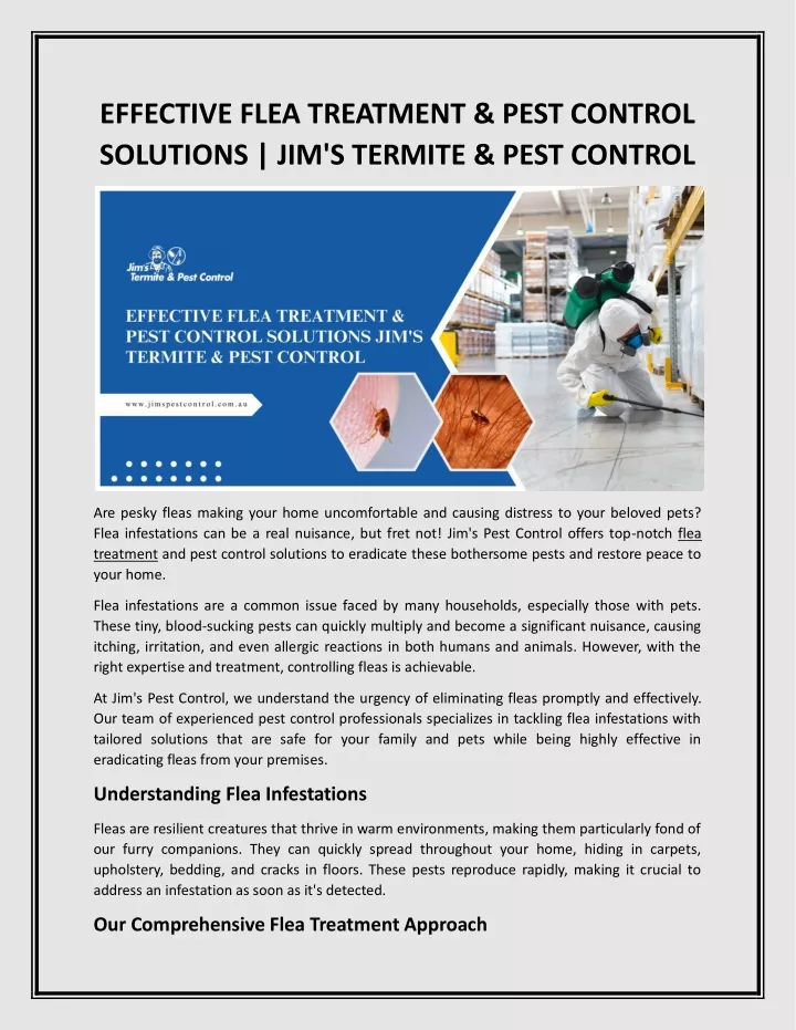 effective flea treatment pest control solutions