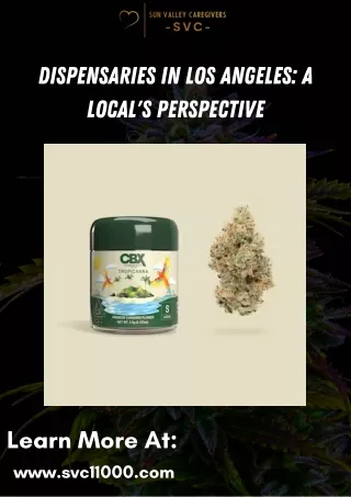 Dispensaries in Los Angeles A Local's Perspective