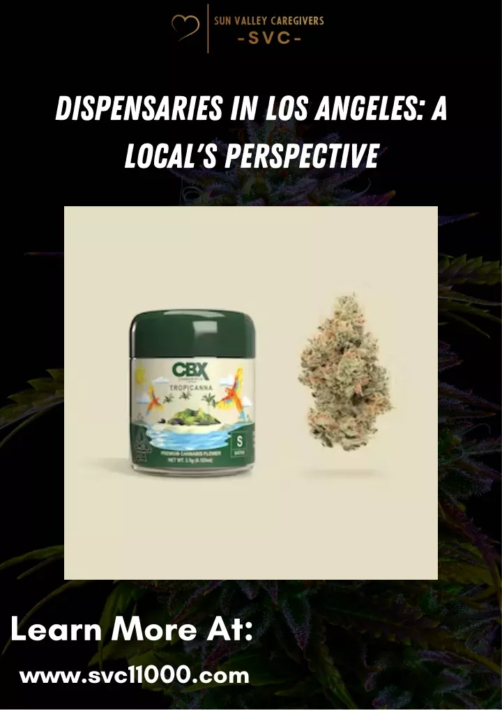 dispensaries in los angeles a local s perspective