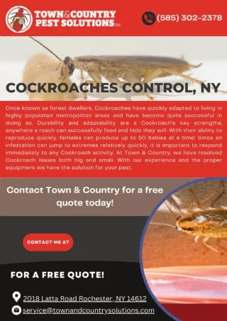 Cockroaches Control - TAC