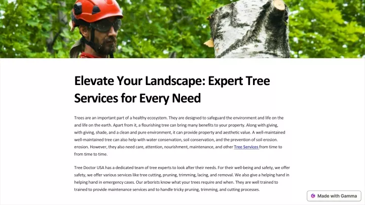 elevate your landscape expert tree services