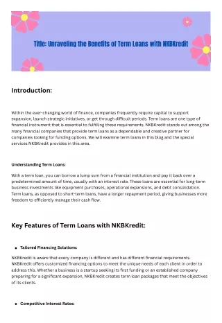 Unraveling the Benefits of Term Loans with NKBKredit