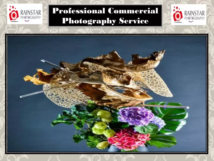 professional commercial photography service
