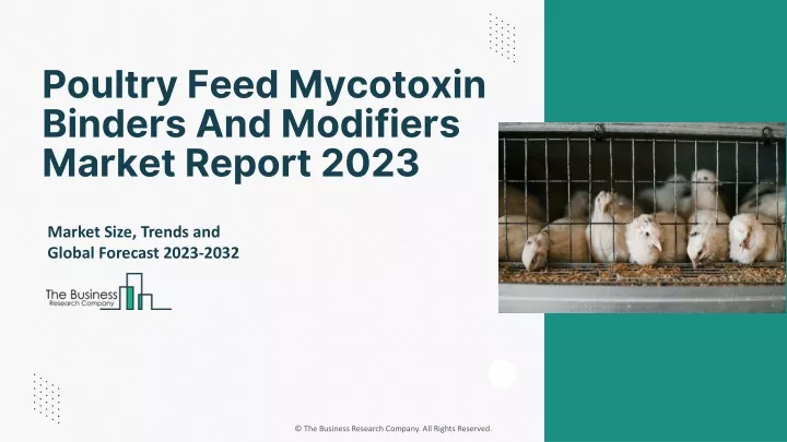poultry feed mycotoxin binders and modifiers