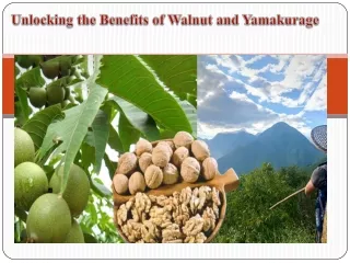 Unlocking the Benefits of Walnut and Yamakurage