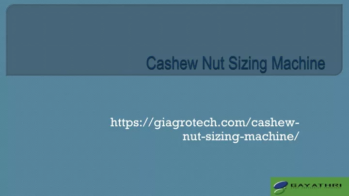 cashew nut sizing machine