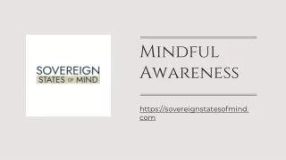 Mindful Awareness - sovereignstatesofmind.com