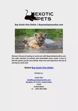 Buy Exotic Pets Online  Buyexoticpetsonline com