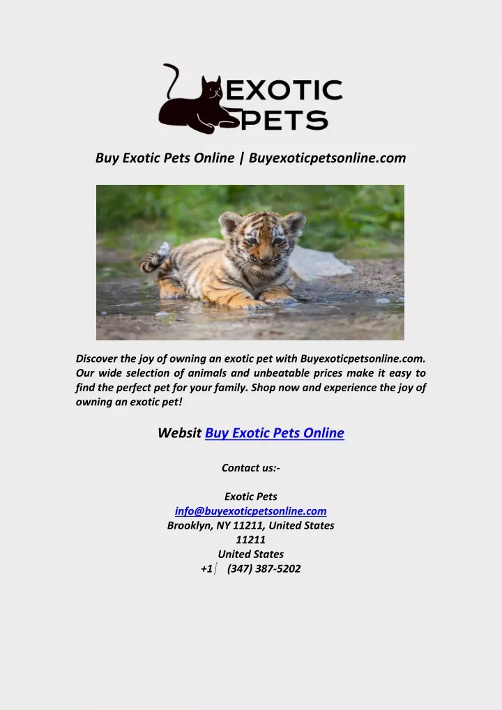 buy exotic pets online buyexoticpetsonline com