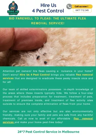 Bid Farewell to Fleas The Ultimate Flea Removal Service!