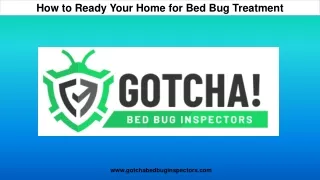How to Ready Your Home for Bed Bug Treatment