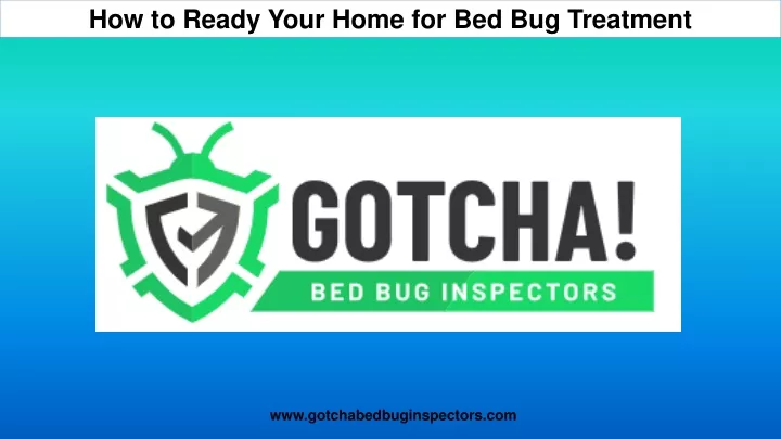how to ready your home for bed bug treatment