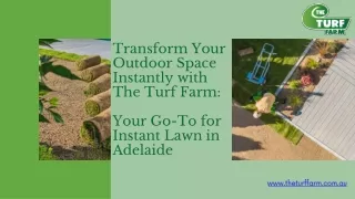 Instant Lawn Adelaide--The Turf Farm
