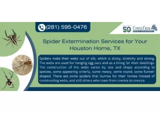 Spider Extermination Services for Your Houston Home