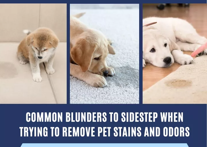 common blunders to sidestep when trying to remove