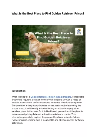 What Is the Best Place to Find Golden Retriever Prices_