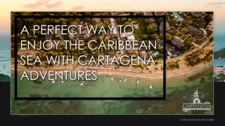 A Perfect Way to Enjoy the Caribbean Sea with Cartagena Adventures