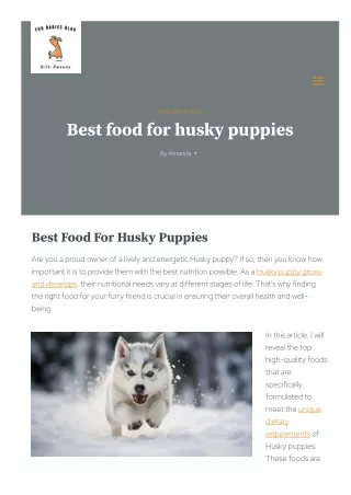 Best Food For Husky Puppies