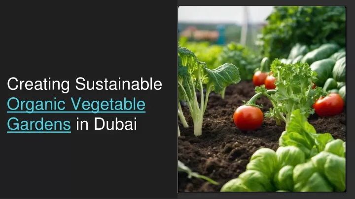 creating sustainable organic vegetable gardens in dubai