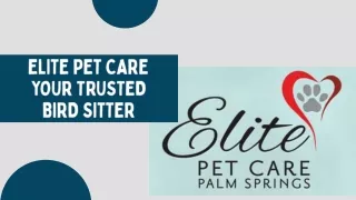 Elite Pet Care - Your Trusted Bird Sitter