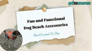 Buy Fun and Functional Dog Beach Accessories - K9 Escapade