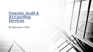 Forensic Audit & Accounting Services