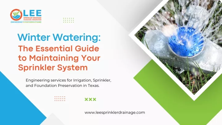 winter watering the essential guide
