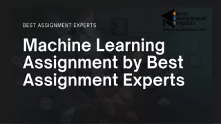 best assignment experts