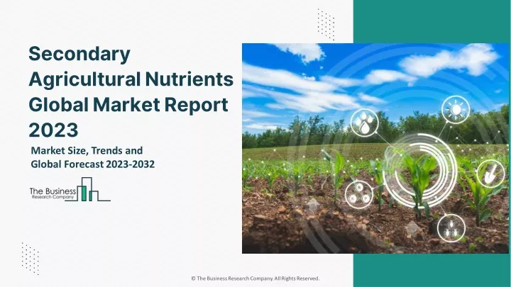secondary agricultural nutrients global market