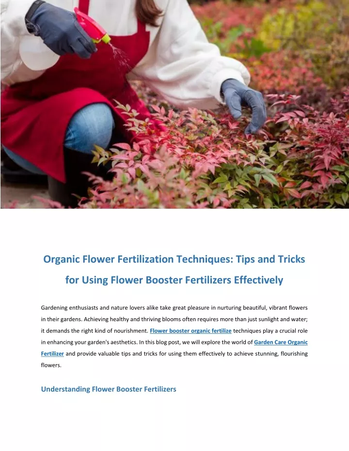 organic flower fertilization techniques tips