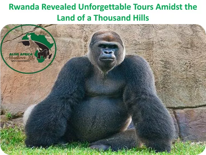 rwanda revealed unforgettable tours amidst