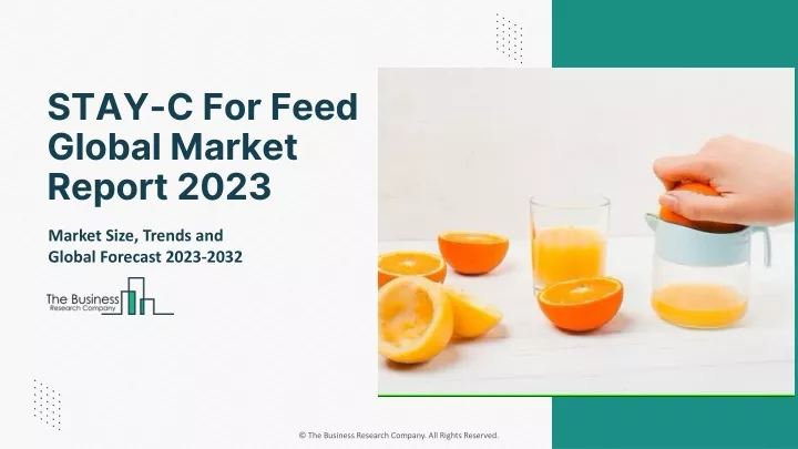 stay c for feed global market report 2023