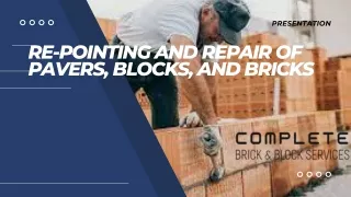 Re-pointing and repair of pavers, blocks, and bricks