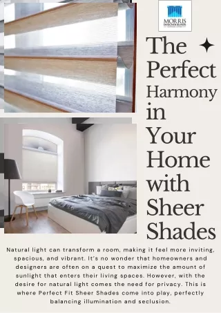 The Perfect Harmony in Your Home with Sheer Shades