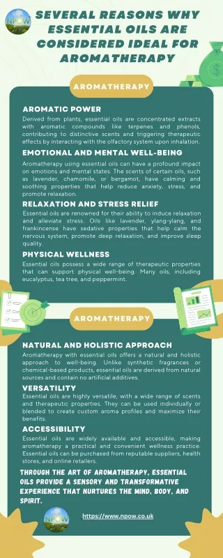 Several Reasons Why Essential Oils Are Considered Ideal For Aromatherapy